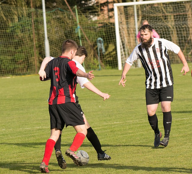 压群雄的新 压群雄的新