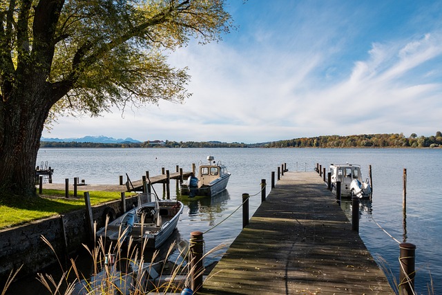 呼声并非无 呼声并非无