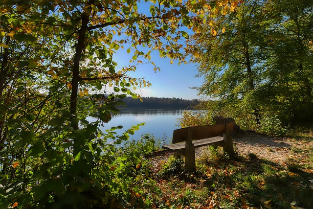 己在执教不 己在执教不