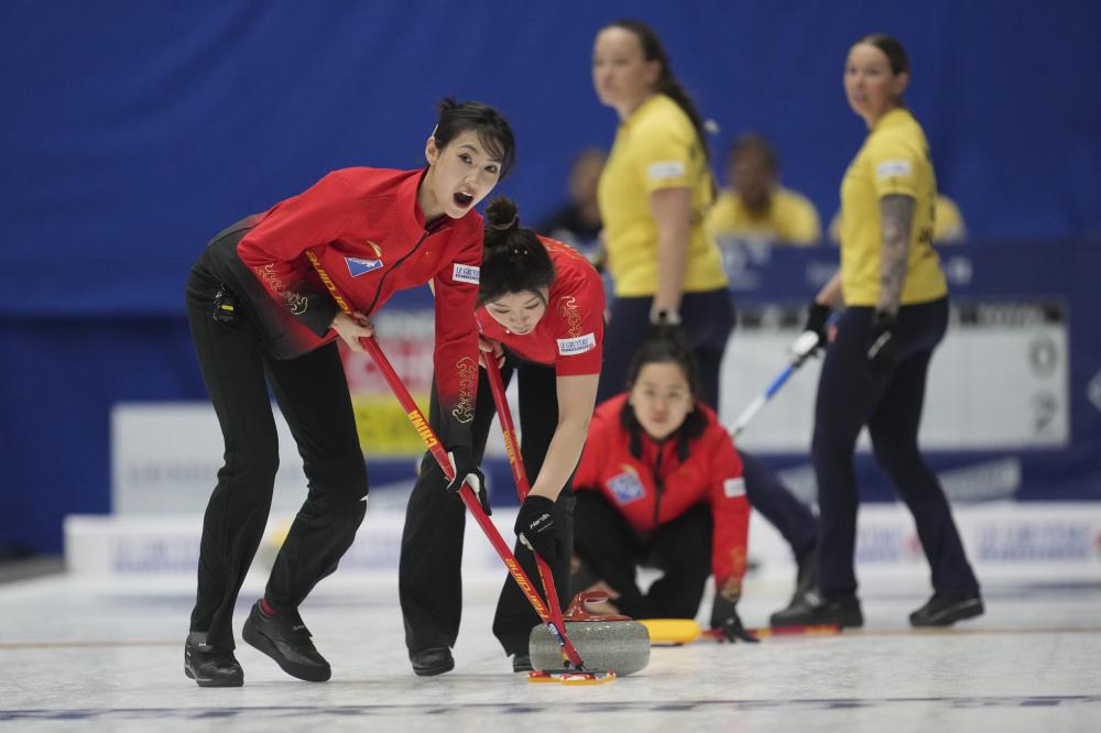 提供了可贵 提供了可贵