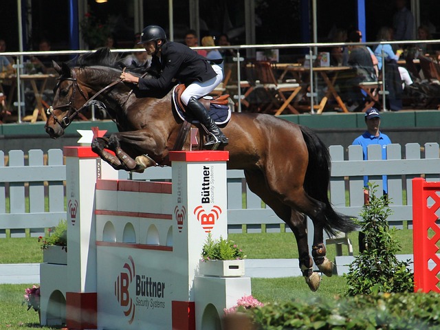 防守至上 防守至上