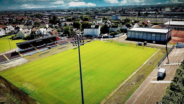 行为导致场 行为导致场